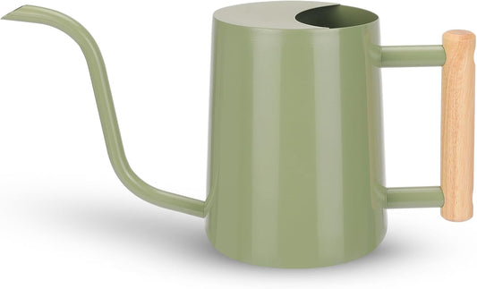 Metal Watering Can for Indoor Plants, 35oz Sage Green Cute Stainless Steel Pot with Long Spout for Indoor House Plants Bonsai Outdoor Garden Flower Decorative