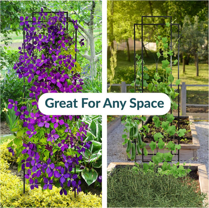 Sunnydaze 48" Black Metal Garden Trellis for Climbing Plants, 2-Pack