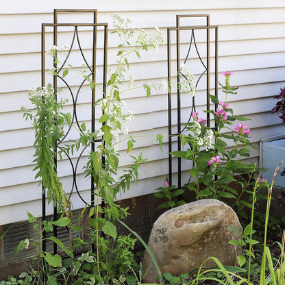 Sunnydaze 48" Black Metal Garden Trellis for Climbing Plants, 2-Pack