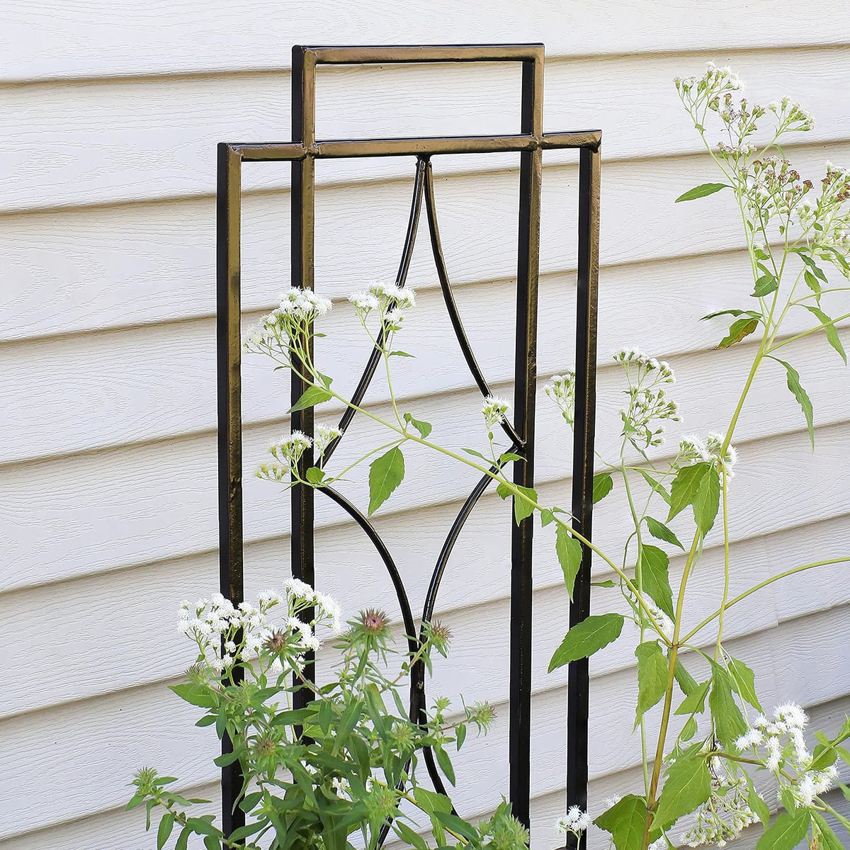 Sunnydaze 48" Black Metal Garden Trellis for Climbing Plants, 2-Pack