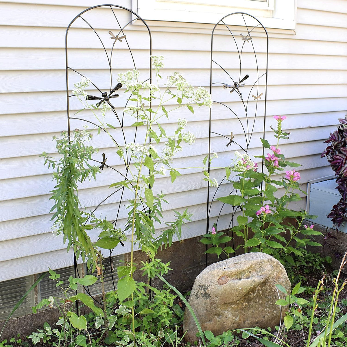 Sunnydaze 48" Black Metal Garden Trellis for Climbing Plants, 2-Pack