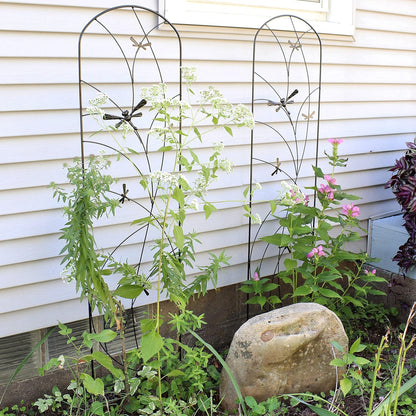 Sunnydaze 48" Black Metal Garden Trellis for Climbing Plants, 2-Pack