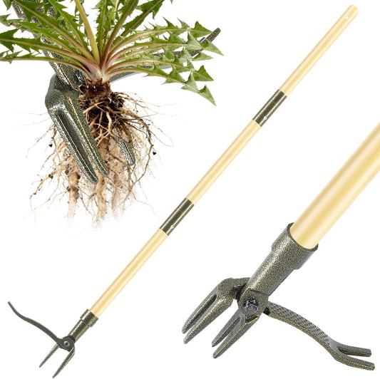 Stand Up Weed Puller Tool, 4-Claw Steel Head Deep Root Extractor with Dual-Eject Design, Real Bamboo Long Handle & Metal Anti-Slip Pedal, No Bending Dandelion Remover for Garden （Light Brown）