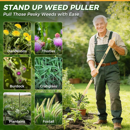 Stand Up Weed Puller Tool, 4-Claw Steel Head Deep Root Extractor with Dual-Eject Design, Real Bamboo Long Handle & Metal Anti-Slip Pedal, No Bending Dandelion Remover for Garden （Light Brown）