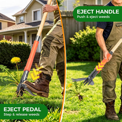 Stand Up Weed Puller Tool, 4-Claw Steel Head Deep Root Extractor with Dual-Eject Design, Real Bamboo Long Handle & Metal Anti-Slip Pedal, No Bending Dandelion Remover for Garden （Light Brown）