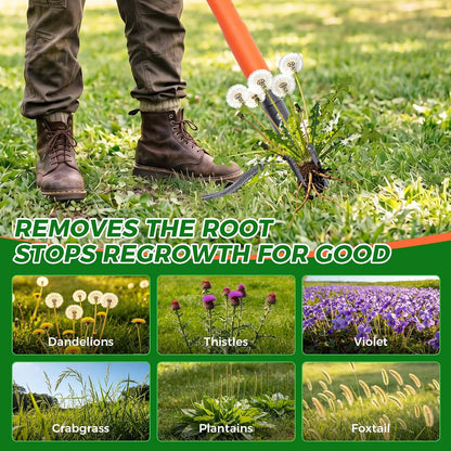 Stand Up Weed Puller Tool, 4-Claw Steel Head Deep Root Extractor with Dual-Eject Design, Real Bamboo Long Handle & Metal Anti-Slip Pedal, No Bending Dandelion Remover for Garden （Light Brown）