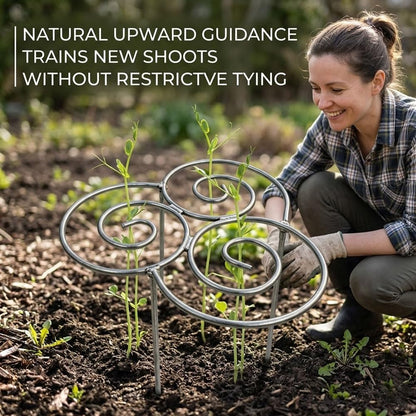 Peony Cages and Supports 2 Pack, Decorative Grow Through Plant Support Hoops, Heavy Duty Metal Peony Plant Support Rings for Garden Outdoor Plants & Dahlia (2PC, s)