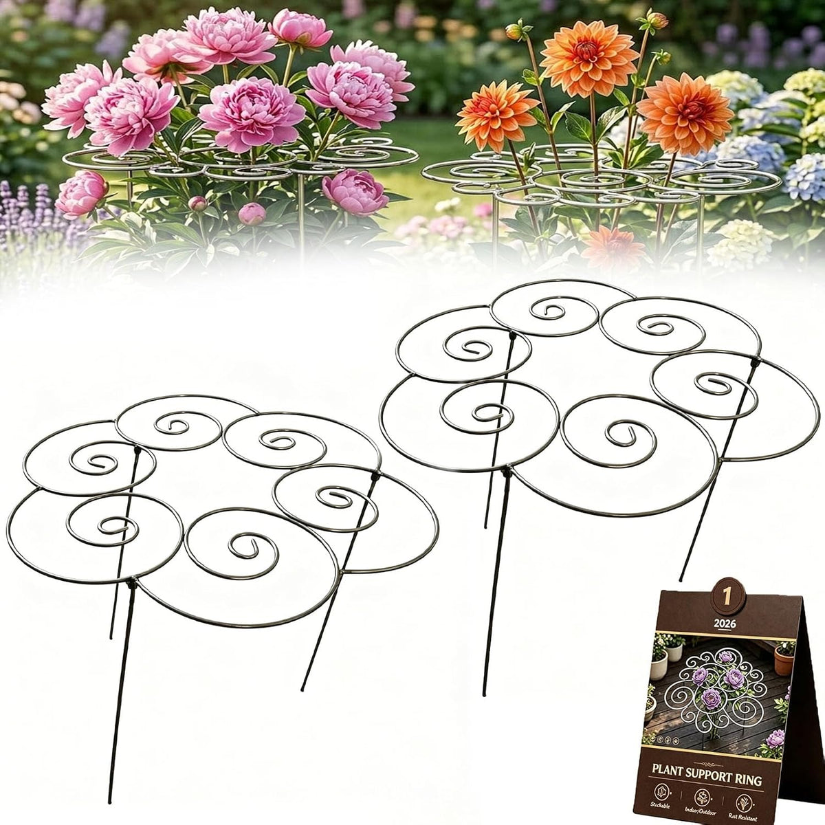 Peony Cages and Supports 2 Pack, Decorative Grow Through Plant Support Hoops, Heavy Duty Metal Peony Plant Support Rings for Garden Outdoor Plants & Dahlia (2PC, s)