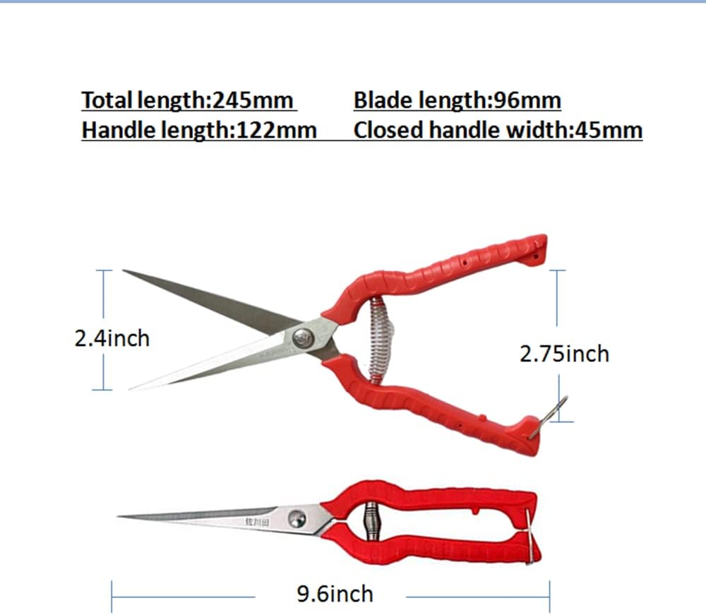 2pack Extra Long Edge Stainless Steel Pruning Shears Fruit Trees Bonsai Sharp Garden Scissors Tool