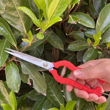 2pack Extra Long Edge Stainless Steel Pruning Shears Fruit Trees Bonsai Sharp Garden Scissors Tool