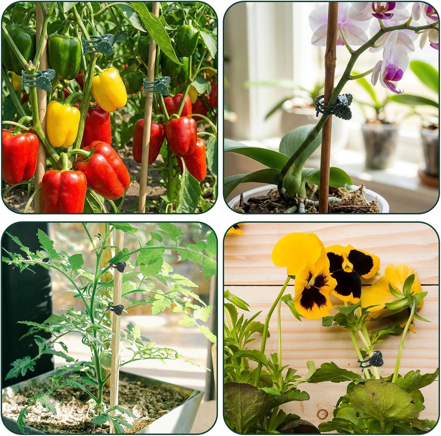 50 Pcs Plant Clips for Climbing Plants Orchid Clips for Plants Support Garden Flower Stem Vine Clip, Dark Green