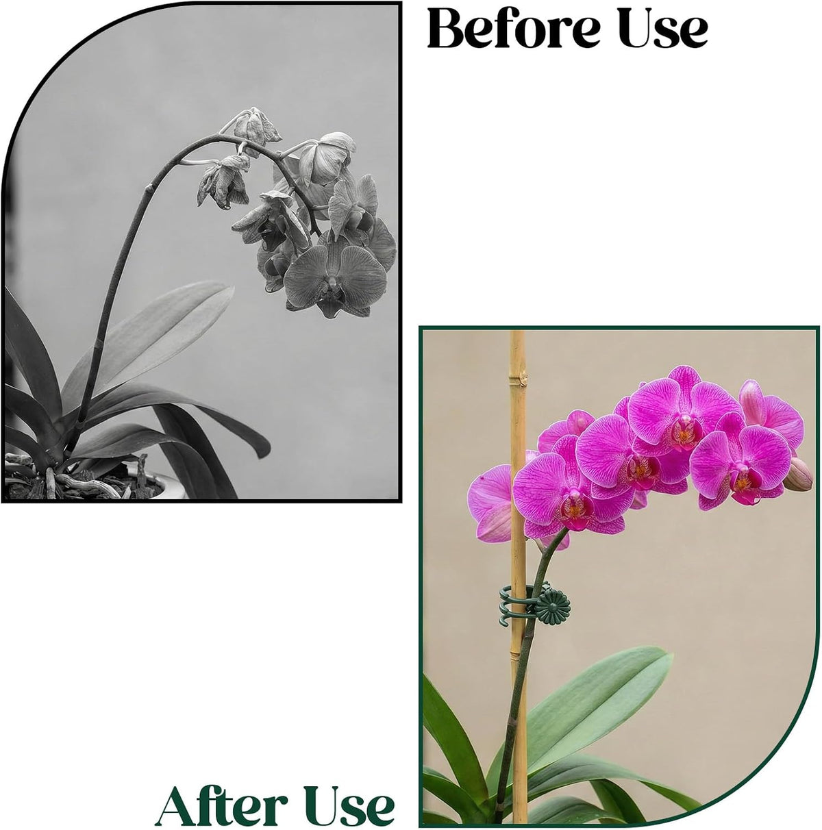 50 Pcs Plant Clips for Climbing Plants Orchid Clips for Plants Support Garden Flower Stem Vine Clip, Dark Green