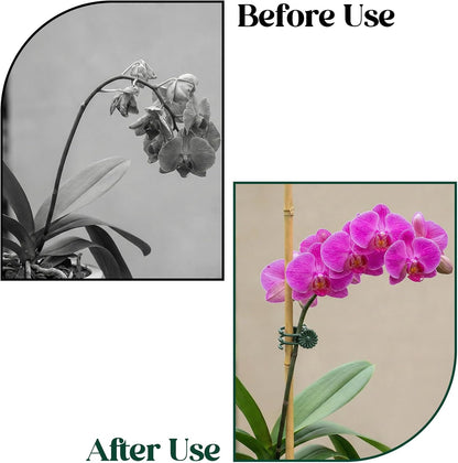 50 Pcs Plant Clips for Climbing Plants Orchid Clips for Plants Support Garden Flower Stem Vine Clip, Dark Green
