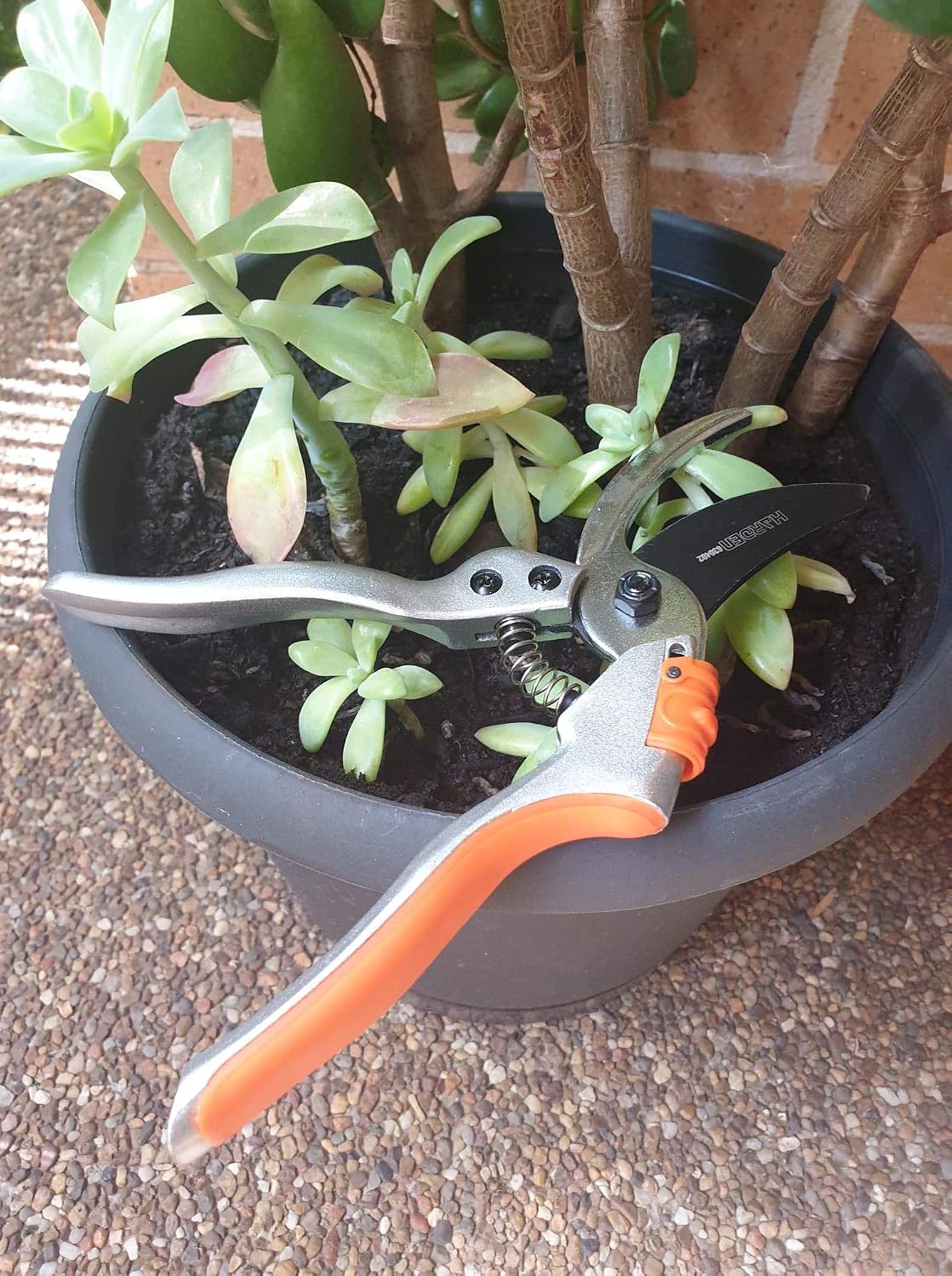 Pruning Shears For Gardening 8 Inch Bypass Pruners. SK5 Steel Non Stick Blade Garden Pruners With Carbon Steel Lower Blade And Ergonomic Non Slip Grip For Tree Trimming And Plant Cutting