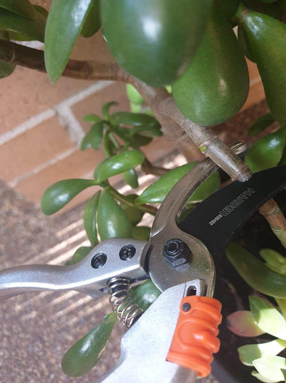 Pruning Shears For Gardening 8 Inch Bypass Pruners. SK5 Steel Non Stick Blade Garden Pruners With Carbon Steel Lower Blade And Ergonomic Non Slip Grip For Tree Trimming And Plant Cutting