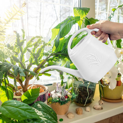 Plant Watering Can - for Indoor and Outdoor Home Garden Plants - with Long Spout - Coffee Color - 1/2 Gallon