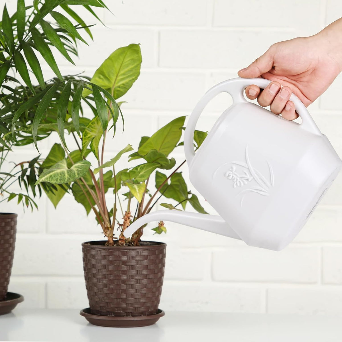 Plant Watering Can - for Indoor and Outdoor Home Garden Plants - with Long Spout - Coffee Color - 1/2 Gallon