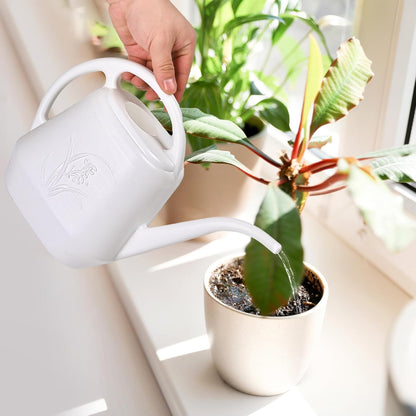 Plant Watering Can - for Indoor and Outdoor Home Garden Plants - with Long Spout - Coffee Color - 1/2 Gallon