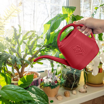 Plant Watering Can - for Indoor and Outdoor Home Garden Plants - with Long Spout - Coffee Color - 1/2 Gallon
