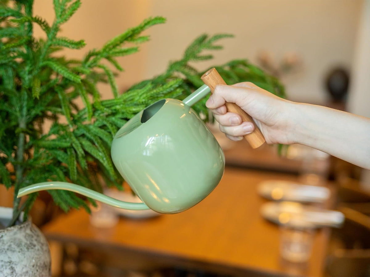 1.2L/41oz Metal Metal Watering Can with Long Spout, Sage Green