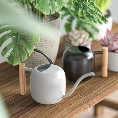 1.2L/41oz Metal Metal Watering Can with Long Spout, Sage Green