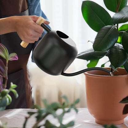 1.2L/41oz Metal Metal Watering Can with Long Spout, Sage Green