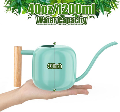 1.2L/41oz Metal Metal Watering Can with Long Spout, Sage Green