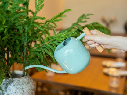 1.2L/41oz Metal Metal Watering Can with Long Spout, Sage Green