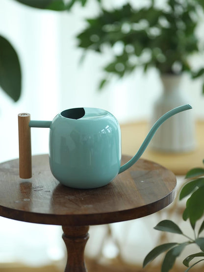 1.2L/41oz Metal Metal Watering Can with Long Spout, Sage Green