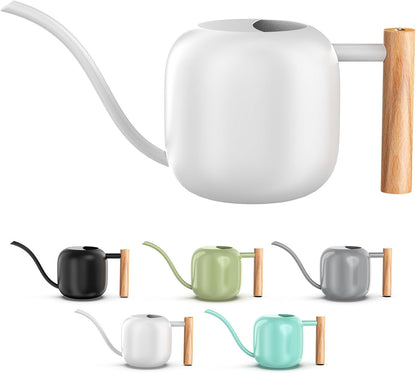 1.2L/41oz Metal Metal Watering Can with Long Spout, Sage Green