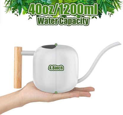 1.2L/41oz Metal Metal Watering Can with Long Spout, Sage Green