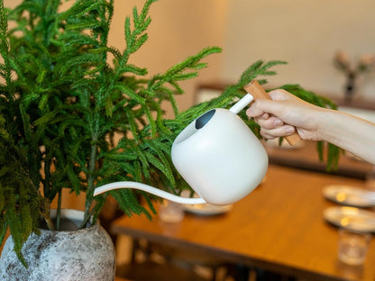 1.2L/41oz Metal Metal Watering Can with Long Spout, Sage Green