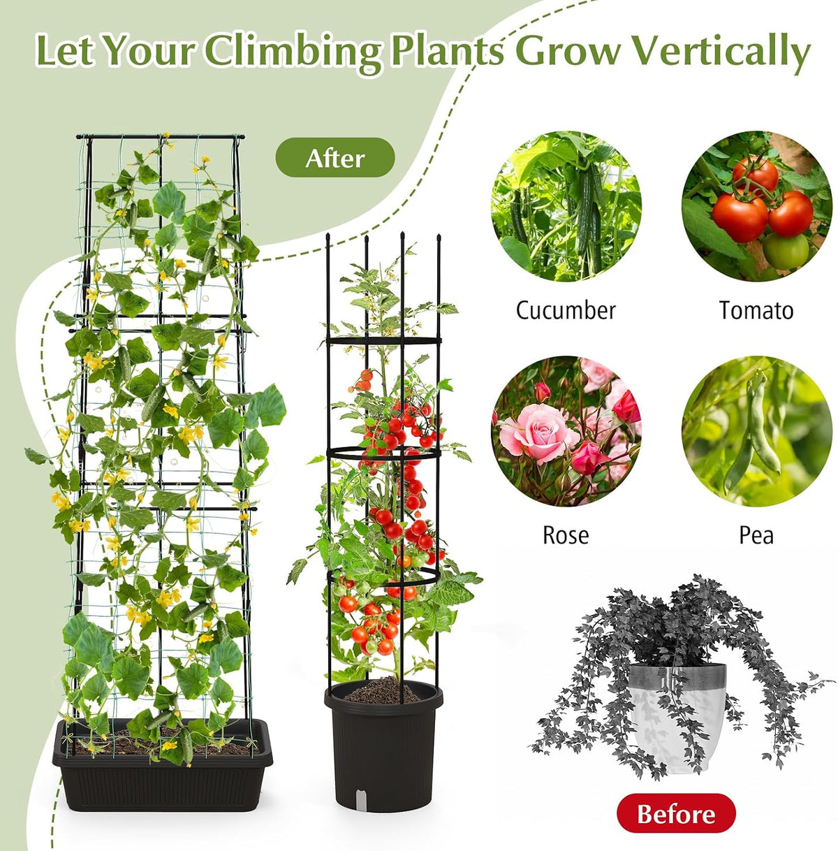 2 Pack Tomato Cage, Metal Garden Trellis w/Adjustable Height & Self-Watering System for Vines Potted Plants Vegetables, Tall Plant Support Tomato Trellis w/Planter Box