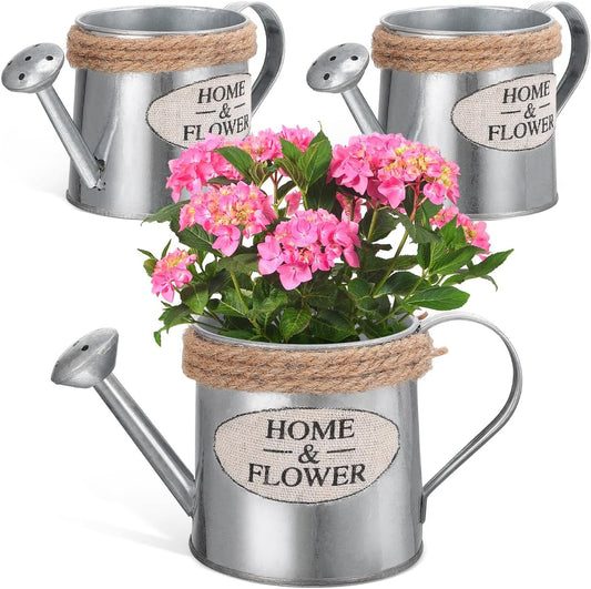3-Pack Galvanized Metal Vases with Jute Handles for Dried Flowers