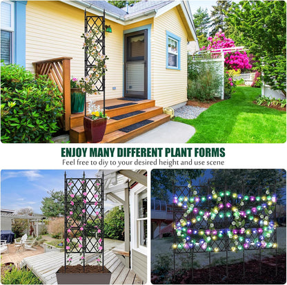 Garden Trellis for Climbing Plants Outdoor 63 Inch Iron Pipe