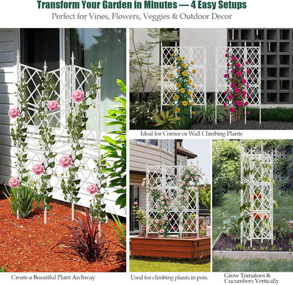 Garden Trellis for Climbing Plants Outdoor 63 Inch Iron Pipe
