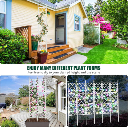 Garden Trellis for Climbing Plants Outdoor 63 Inch Iron Pipe