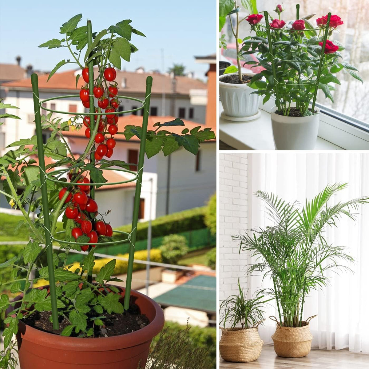 4 Pack Tomato Cage for Garden Plant Support, 18 inches Small Tomato Cages Tomato Trellis with Adjustable Rings, Plant Stakes for Peony Support, Tomato Stakes Rings for Climbing Plants
