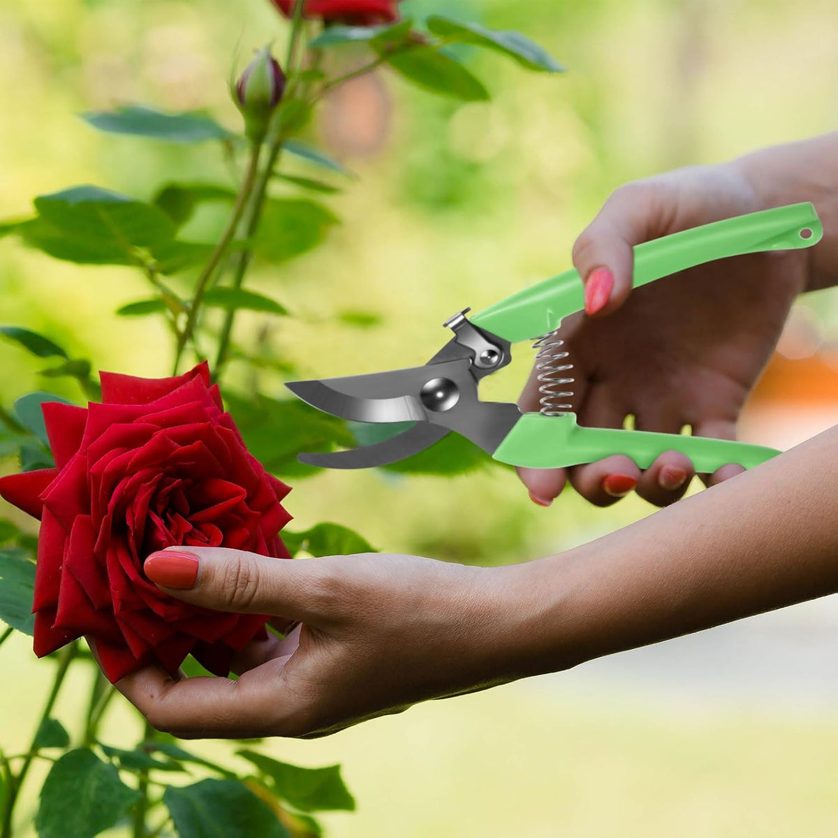 24 Pcs Garden Flower Shears Pruning Scissors Valentine Heavy Duty Plant Scissor Garden Clippers Hand Bypass Pruner for Gardening Plants Hedge Tree Cutting Miniature Bonsai Modeling(Beige)