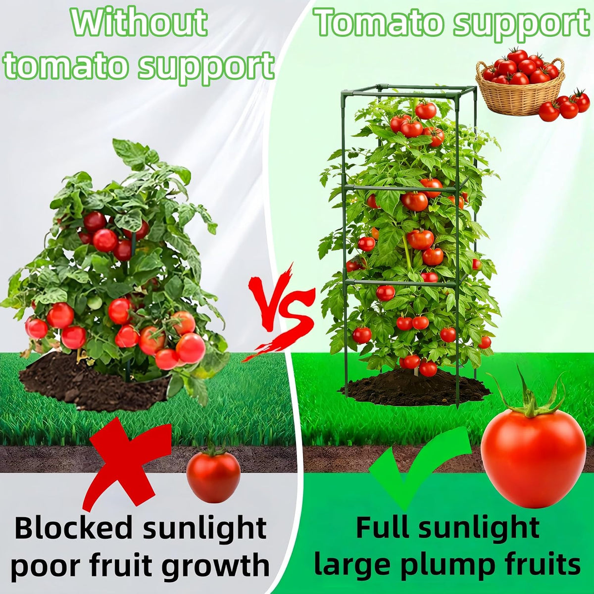 3 Pack Square Tomato Cages for Garden, 59 Inch Tall Heavy Duty Metal Tomato Plant Support Trellis, Adjustable Large Tomato Stakes for Outdoor Pots Climbing Plants, Vegetables, Cucumber