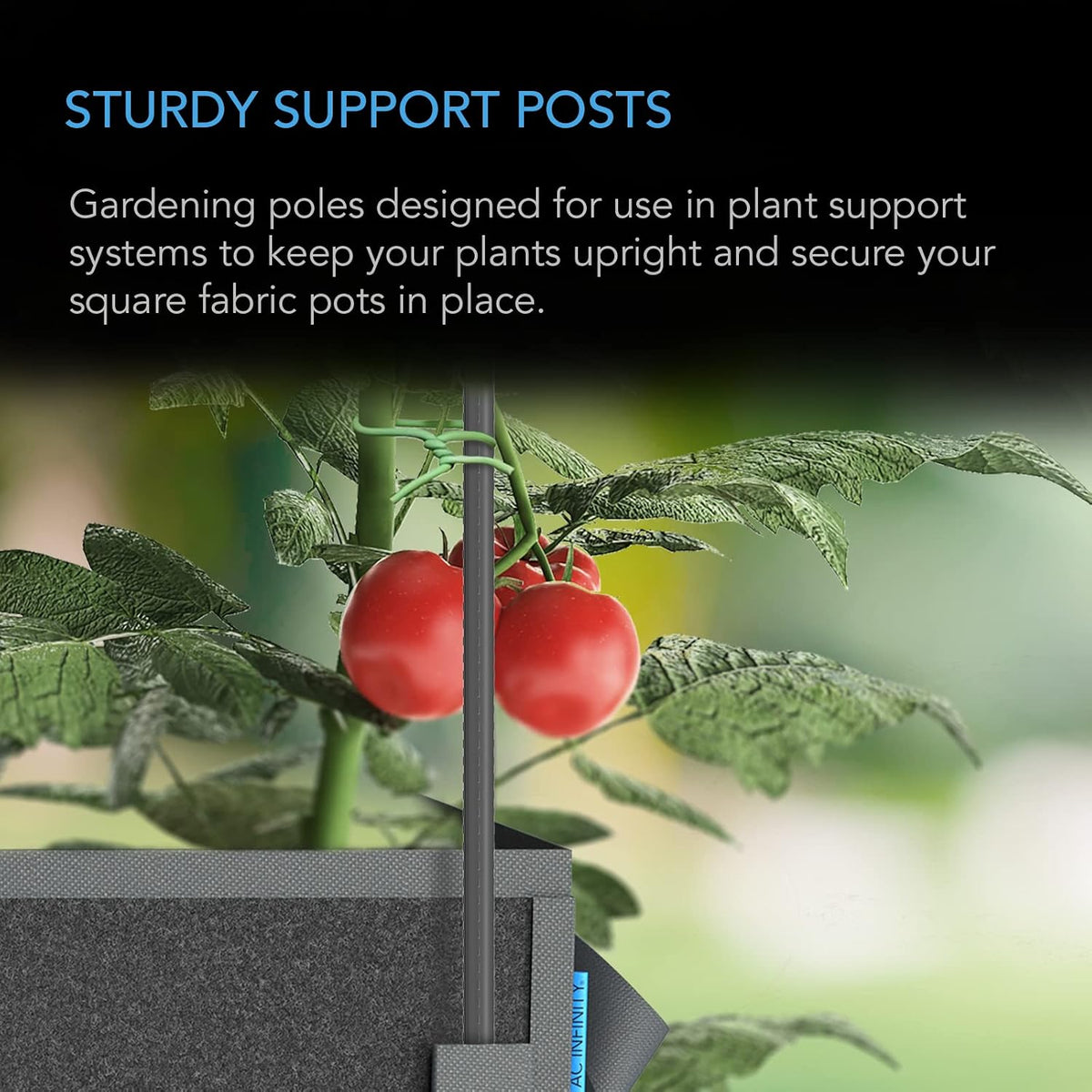 Garden Plant Stakes 36 ".