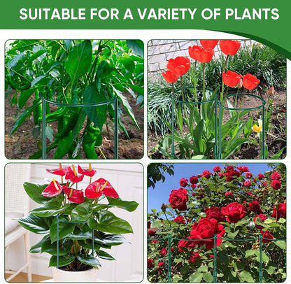 Plant Support Stakes, 6 Pack Metal Peony Cages and Supports, Garden Stakes Plant Support Cage, Large Plant Support Ring for Outdoor Indoor Snake Plant Peony Rose Flowers Vine (10" W x 15.8" H)
