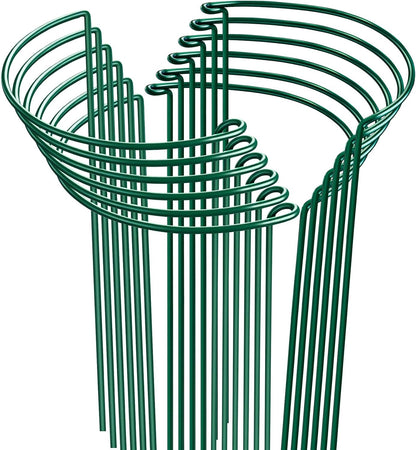 Plant Support Stakes, 6 Pack Metal Peony Cages and Supports, Garden Stakes Plant Support Cage, Large Plant Support Ring for Outdoor Indoor Snake Plant Peony Rose Flowers Vine (10" W x 15.8" H)
