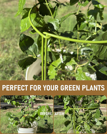 10-Pack Plant Support Stakes, Heavy Duty Steel Plant Stakes as Monstera Plant Support & Peony Cages, Metal Garden Stakes for Indoor Outdoor Plants, Snake Plant & Vine Support, 10" W x 15.8" H