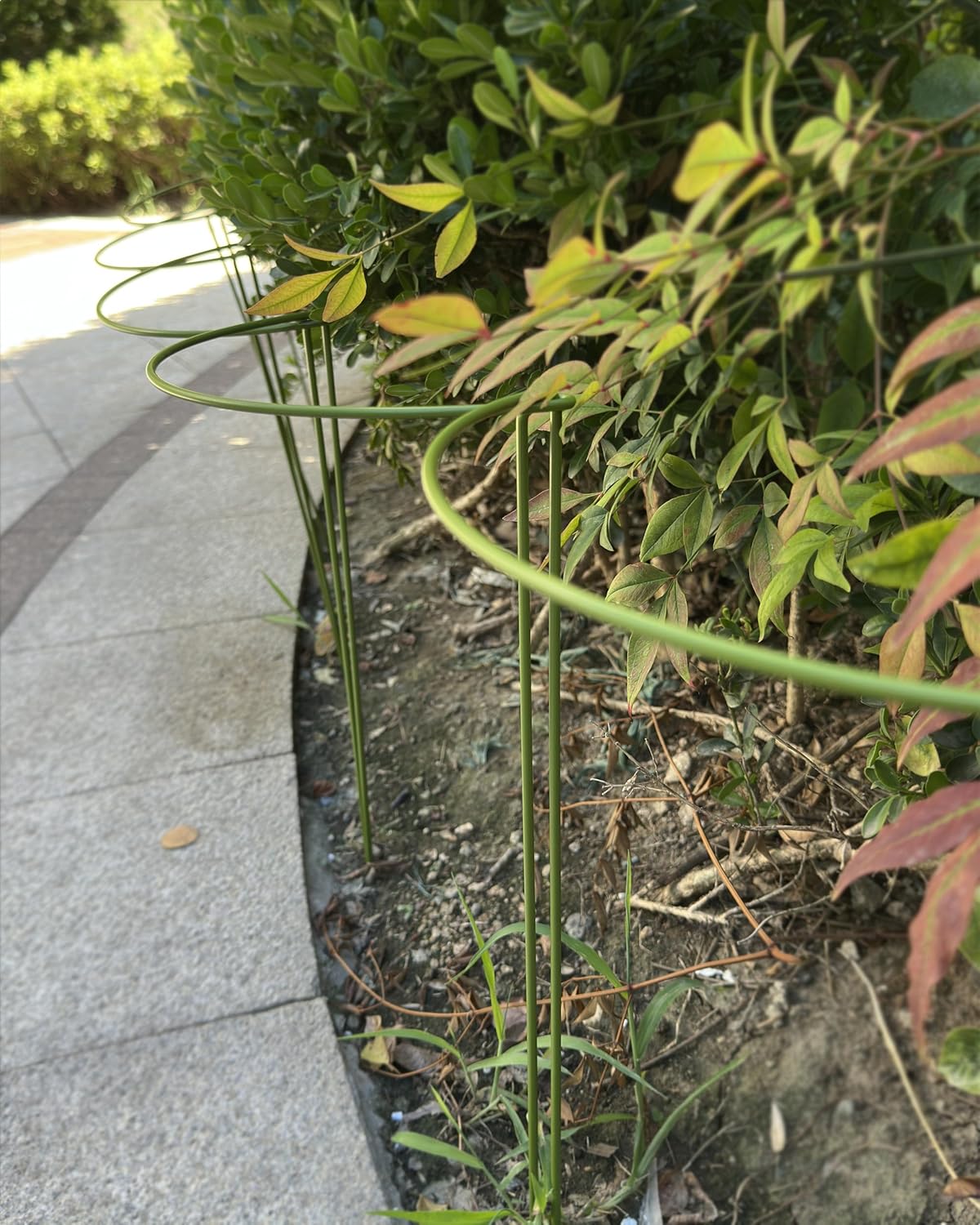 10-Pack Plant Support Stakes, Heavy Duty Steel Plant Stakes as Monstera Plant Support & Peony Cages, Metal Garden Stakes for Indoor Outdoor Plants, Snake Plant & Vine Support, 10" W x 15.8" H