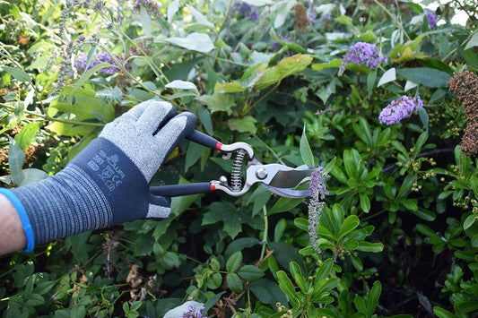 5559BS Razorsharp Vintage Style Bypass Pruners, Black & Silver
