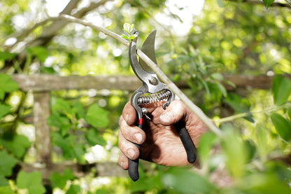 5559BS Razorsharp Vintage Style Bypass Pruners, Black & Silver