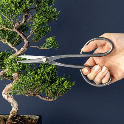Wazakura Yasugi Stainless Steel Made in Japan Satsuki Bonsai Scissors 7.09" (180 mm), Hasami Pruning and Trimming Shears, Japanese Gardening Tools - Yasugi Stainless Steel Satsuki