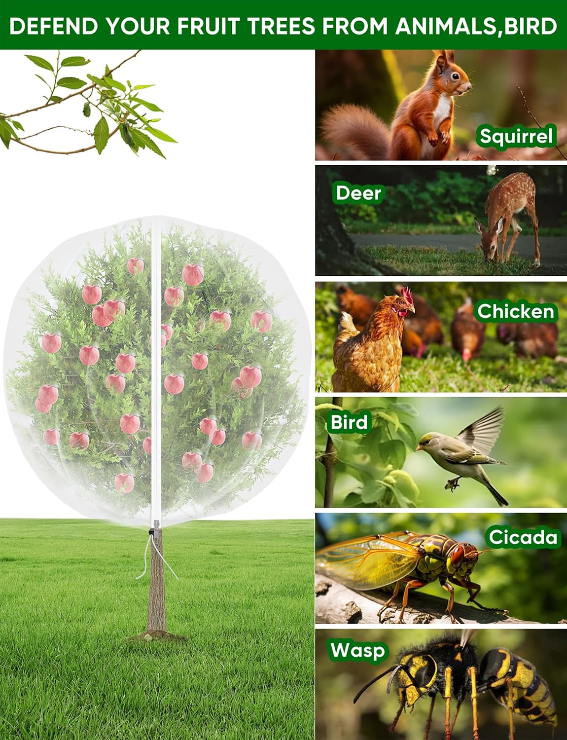 Large Fruit Trees Netting Zipper - 2Pcs 10X10 FT with Drawstring Bird-Proof,Durable Mesh Covers for Blueberry,Apple,Pear,Peach,Orange Trees&Tomato Plants Bug Insect Protection Cover (2,10X10 FT)