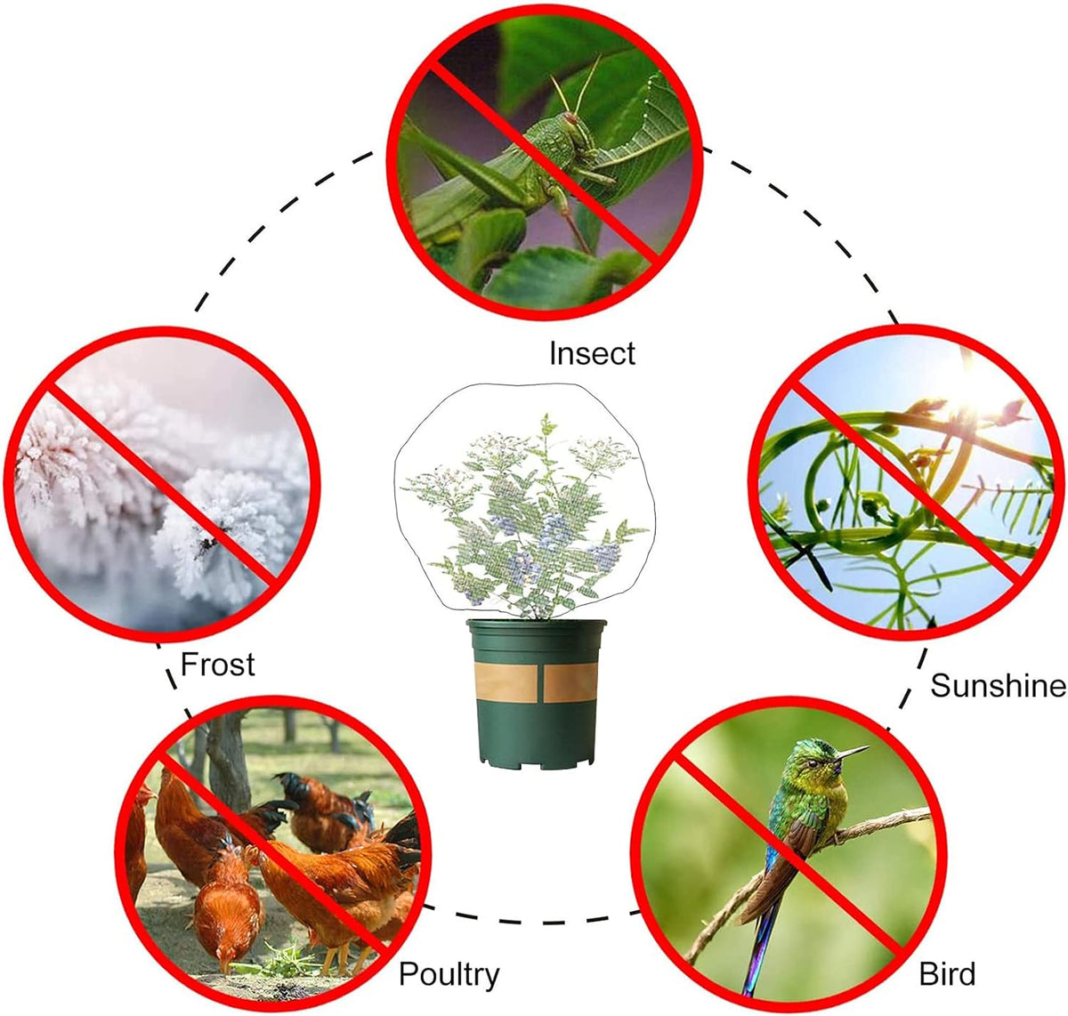 4 Pack Garden Neting Plant Insect Bird Barrier Mesh with Drawstring 3.5Ftx2.3Ft Mesh Plant Covers Freeze Protection Tomato Barrier Bag for Garden Flower Blueberry Vegetables Fruits Bird Eating